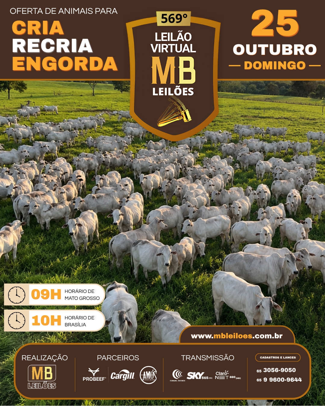 569º LEILÃO VIRTUAL MB LEILÕES