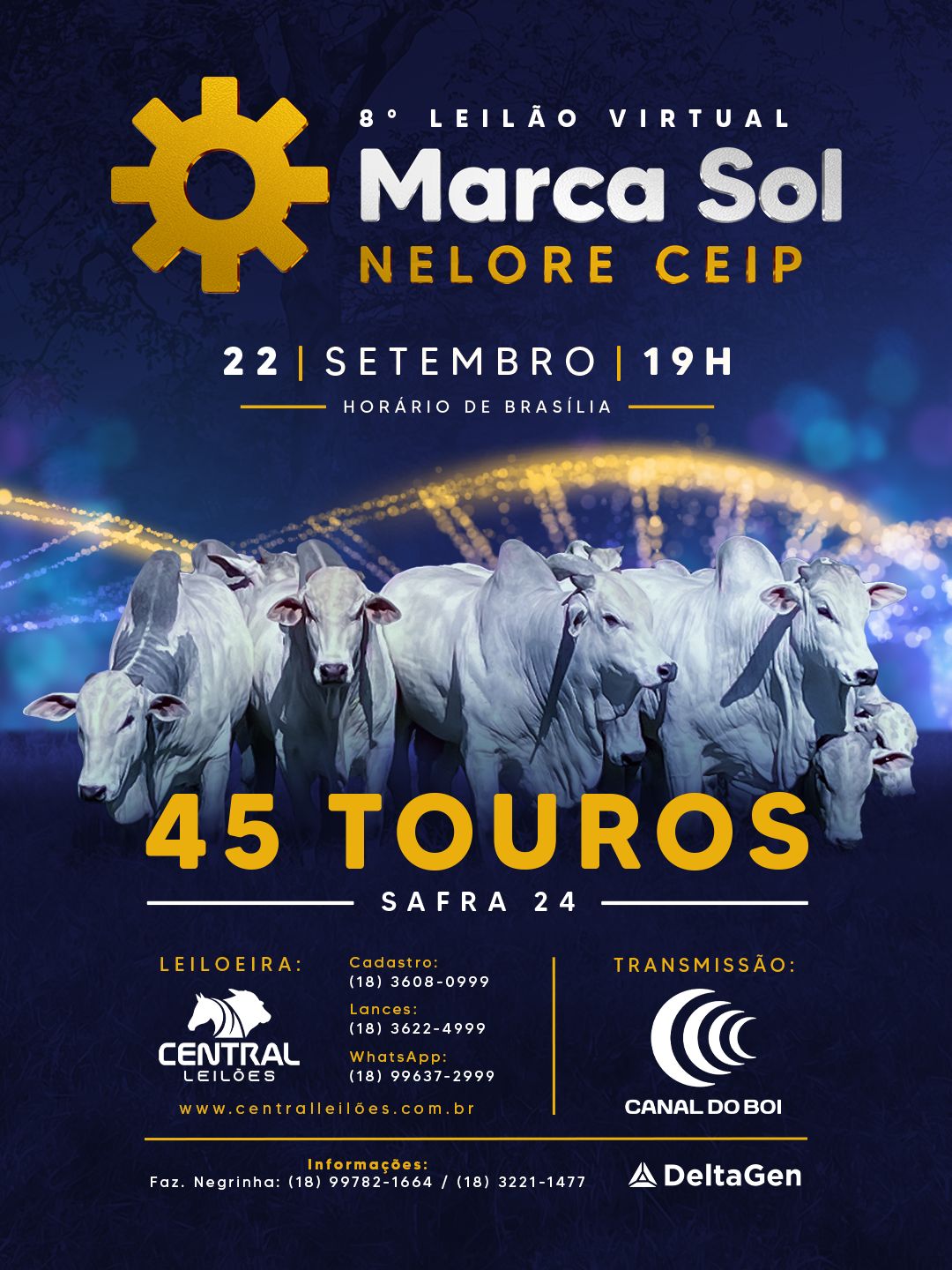 8º LEILÃO VIRTUAL MARCA SOL