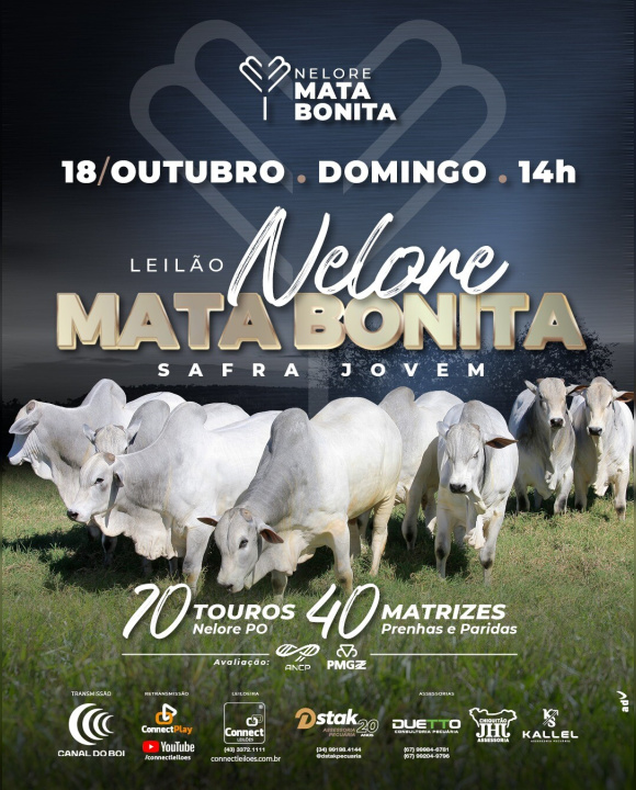 LEILÃO NELORE MATA BONITA - SAFRA JOVEM