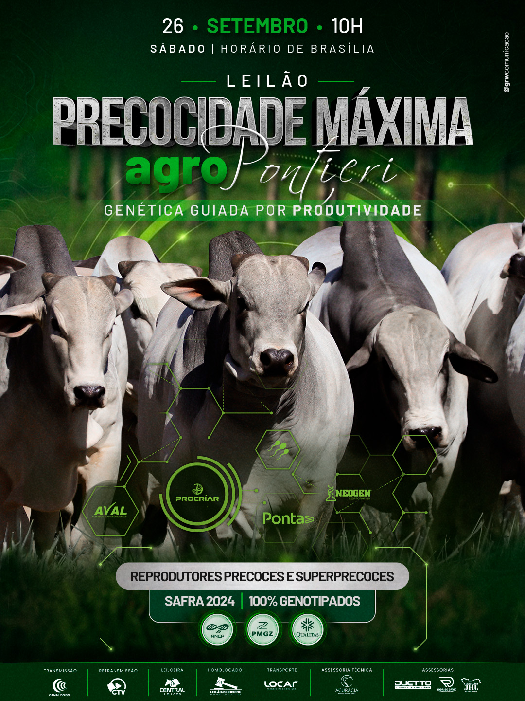LEILÃO PRECOCIDADE MÁXIMA AGRO PONTIERI