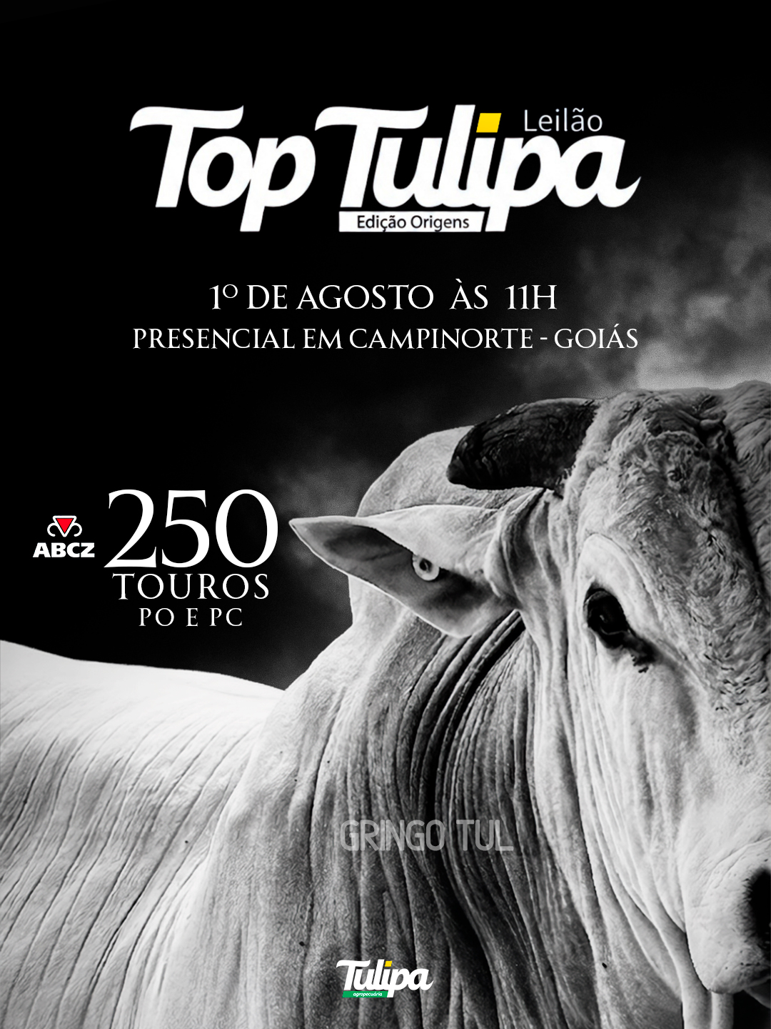 LEILÃO TOP TULIPA - EDIÇÃO ORIGENS