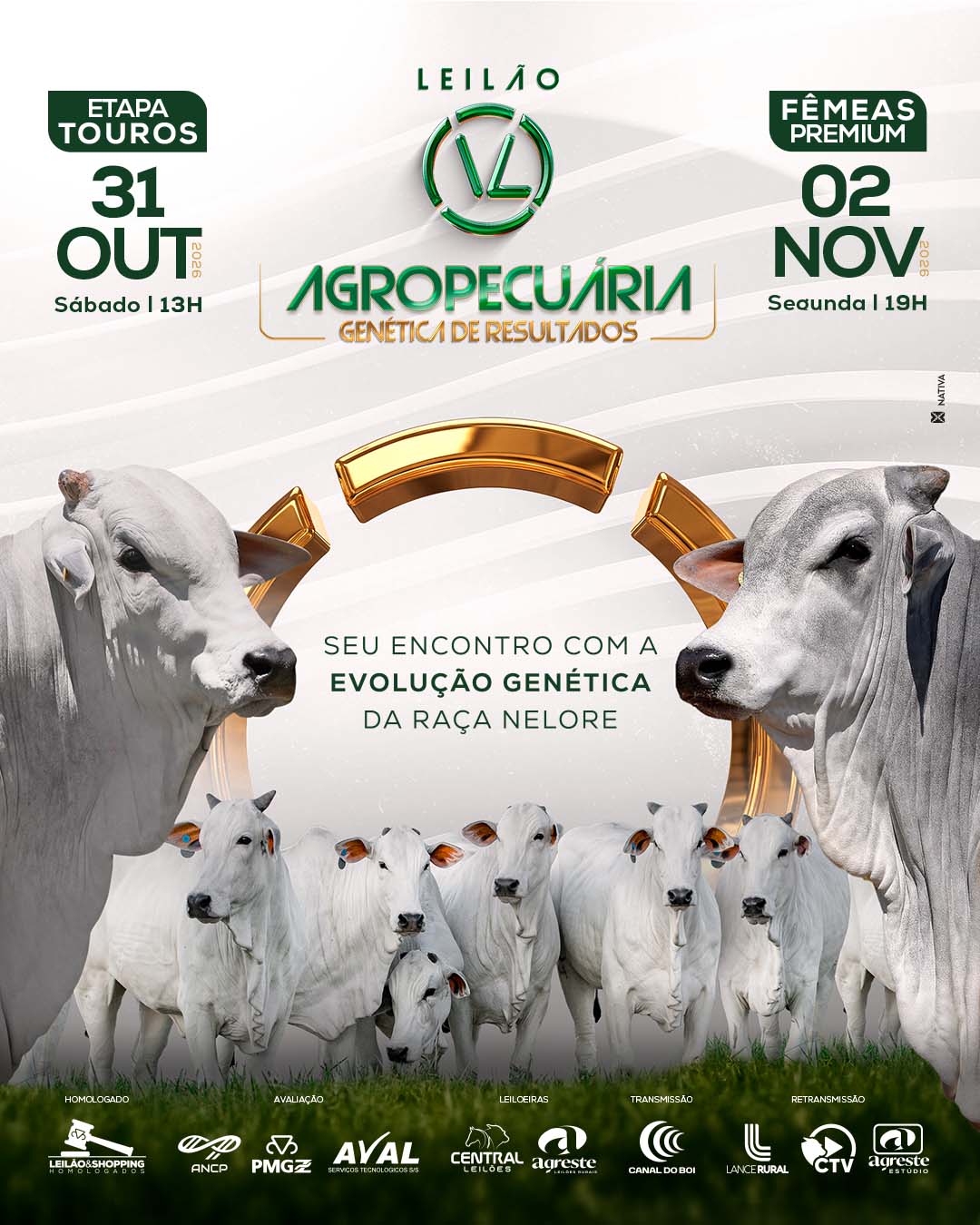 LEILÃO VL AGROPECUARIA